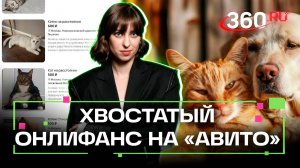 Онлифанс для животных. В сети за деньги предлагают фото питомцев. Ягода