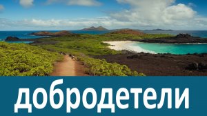 Нет ничего сильнее, нет ничего могущественнее этой добродетели - Иларион Саровский
