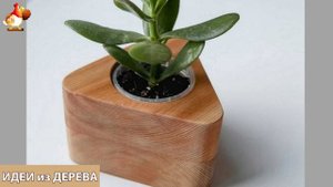 Идеи поделок из дерева своими руками для дома и дачи фото для вдохновения (374)