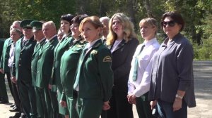 Брянских лесников поздравили с профессиональным праздником