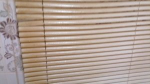 Мою жалюзи ваштронгом VID_20250909_202910.mp4