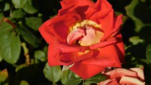 05=09=2025  Ю   КМР  (60)