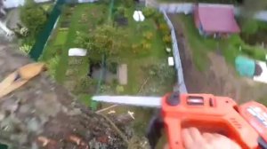 Валка большого дуба, эпизод 3, часть третья