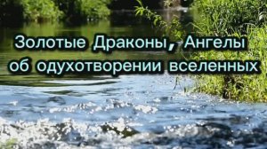 Золотые Драконы, Ангелы об одухотворении вселенных 29.06.2025г  (68 Послание)