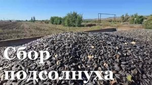 Аграрии ЛНР бьют прошлогодние рекорды урожая