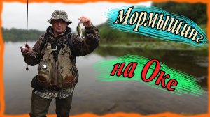 Мормышинг на Оке. Голавль, ерш, бычок...