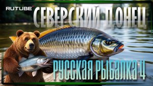 Русская Рыбалка 4 | Северский Донец | Клёвая Точка