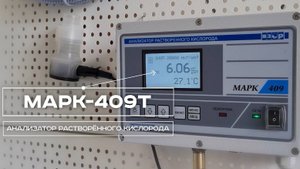 Анализатор растворенного кислорода МАРК-409Т ("ВЗОР")