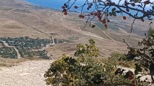 ЗЛОДЕЙ-ШИПОВНИК