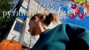 1/365 утренняя рутина, завтракаю, наслаждаюсь погодой🥞🍂