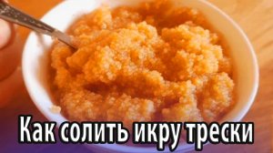 Как правильно и вкусно солить икру трески в домашних условиях