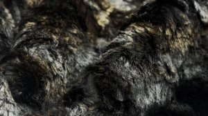 16-11705 Принтованный искусственный мех, мультиколор