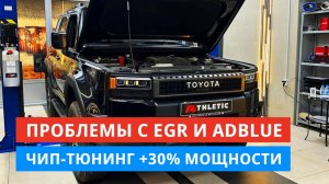Prado 250. Течь антифриза, проблемы с EGR. Отключение AdBlue и удаление сажевого фильтра. Чип-тюнинг