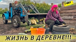Один день из жизни Омской деревни. Наши будни.