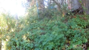 ПОИСК АРТЕФАКТОВ И РАРИТЕТОВ,  КОНКУРЕНТЫ РАБОТАЮТ КАНКРЕТНО.