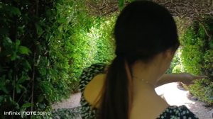 КРЫМ пгт. Никита (между нами рай) оригинал