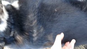 2 часть извините будет 3 часть телефон выключился