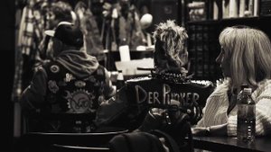 Вайб Полусухого сезона от БогаМонтажа