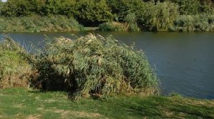 15=09=2025  ник   (9)