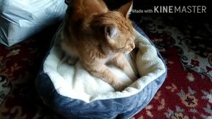 20-2020 Неделя Подарков! _ Elena Pero