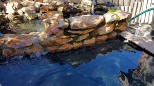 Садовый пруд, часть2