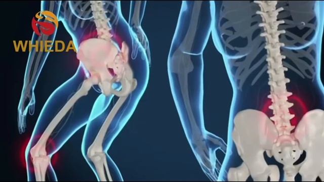 Коротко о Whieda!