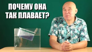 Почему она так плавает?
