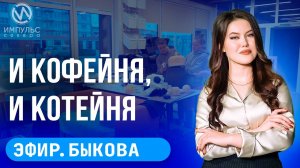 Эфир. Тёплые остановки. Северный родник. ДТП с ребёнком.