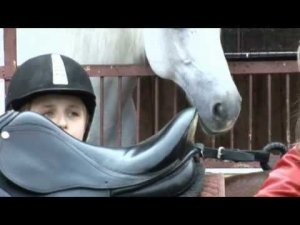 Видеоприложение к "ЗМ". Выпуск №1