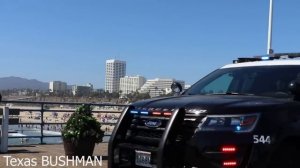 Ultimate Best of Bushman Prank Compilation 2021!!