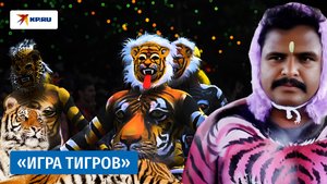 Мужчины становятся тиграми: необычный фестиваль урожая прошёл в Индии