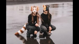 Предупреждение от автора!