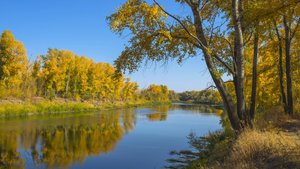 Бабье лето.