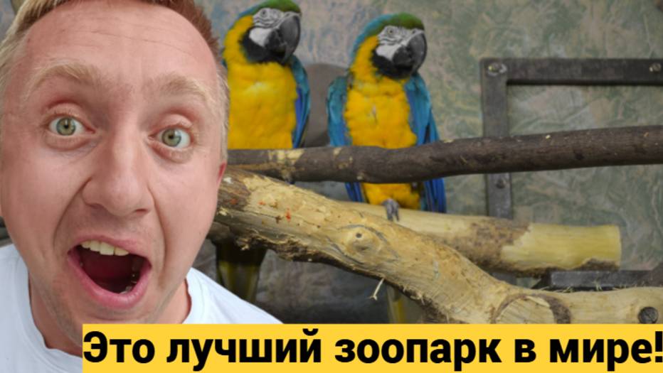 Куда сходить и что посмотреть в Нижнем Новгороде. Обзор на зоопарк Лимпопо.
