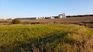 Прогулка вечерняя. 16.09.25