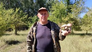Грибной сезон в разгаре