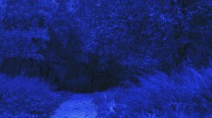 Современная классическая музыка на скрипке | Ecveezer - Sad Emotional Violin Music