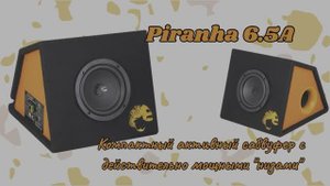 Установка и обзор на мини сабвуфер 🔊 от DL audio Piranha 6.5A