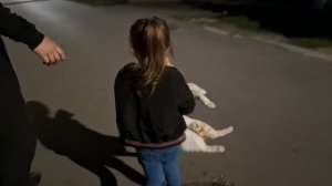 Гроза котиков на районе ч.4. Успех. Удача на нашей стороне 😁