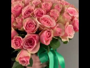 Spbroza.ru 101 роза Кения  40 см