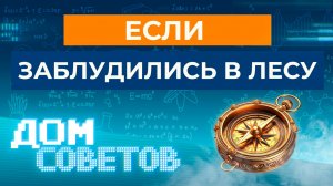 Если заблудились в лесу