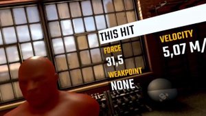 The Thrill of the fight 2 (раздел, тренировка).