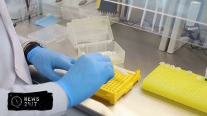 NYP: следователи в США установили маршрут убийцы Кирка в день покушения