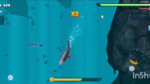 Hungry shark evolution тигровая акула.