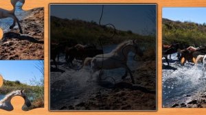 Jigsaw Puzzle Epic 151 Серия Игра 2025