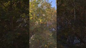 Любой рай гл 18 Миссия Дениса.Команда спасена Продолжение следует.