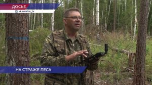 Депутаты предложили упростить закупку и обслуживание дронов для лесного хозяйства