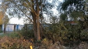 16.09.2025.Усадьба Парк Кино Ляхово. Парк Сибирских Кошек. ГО Домодедово. Обзор проводимых работ лин