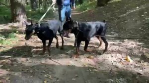 Первое свидание.