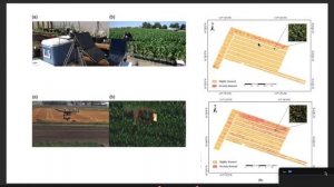 Гиперспектральная съемка для целей сельского хозяйства.